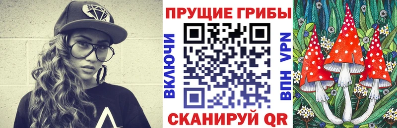 Купить  Солигалич  Псилоцибиновые грибы мухоморы 